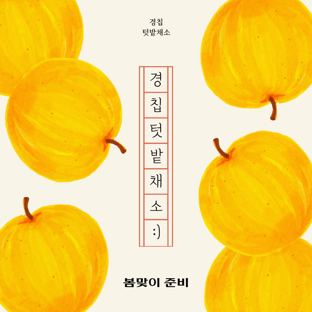 경칩 텃밭채소 재배 꿀팁으로 봄맞이 완벽 준비