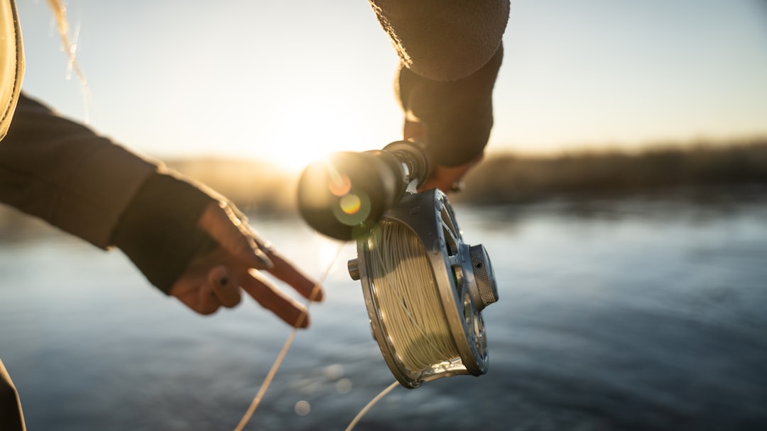 'Fishing'