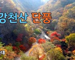 강천산