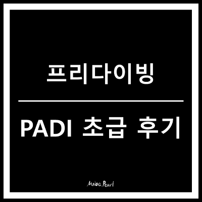 프리다이빙 PADI 초급 자격증 후기