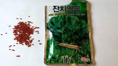 열무재배-종자-파종시기-심는시기-수확시기