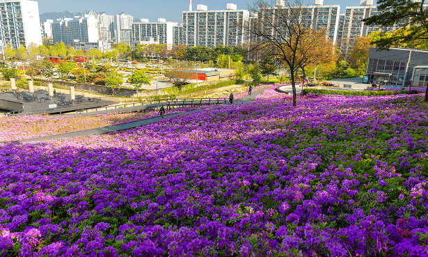 철쭉 축제 하는 곳
