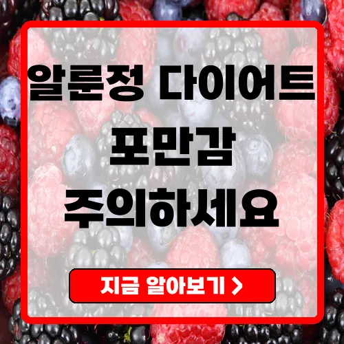 알룬정 다이어트 보조제로서의 효과와 주의사항