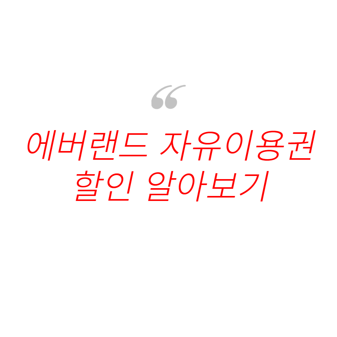 에버랜드 자유이용권 할인 사진