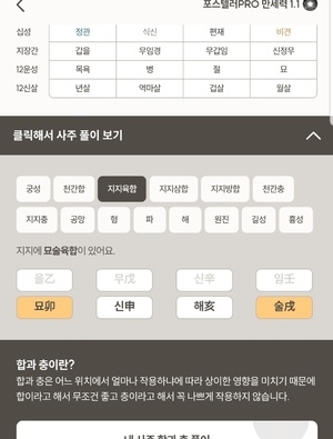 포스텔러 만세력 지지충
