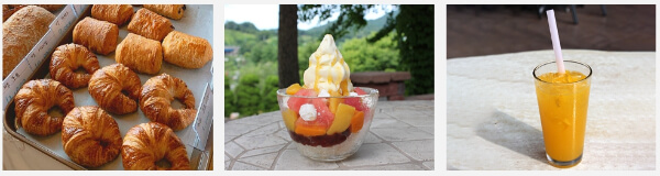 베어트리 라운지