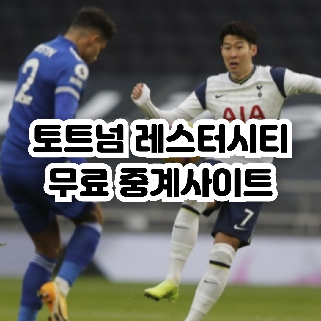 2024년8월20일 레스터 시티 FC 토트넘 홋스퍼 FC