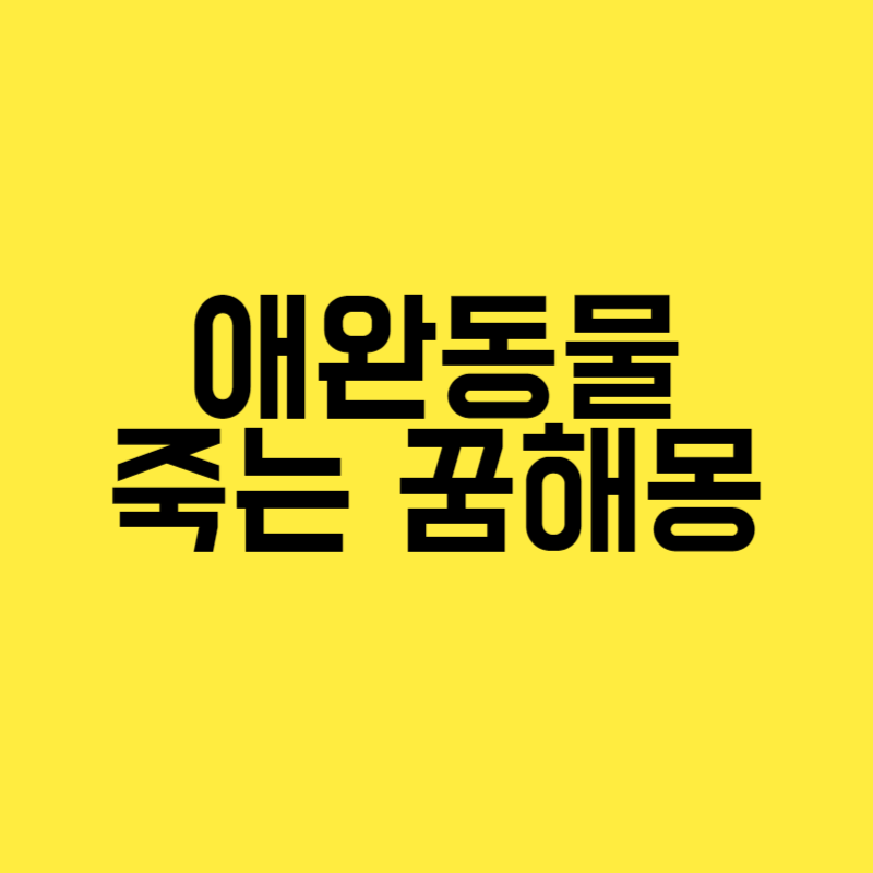 애완동물 죽는 꿈해몽