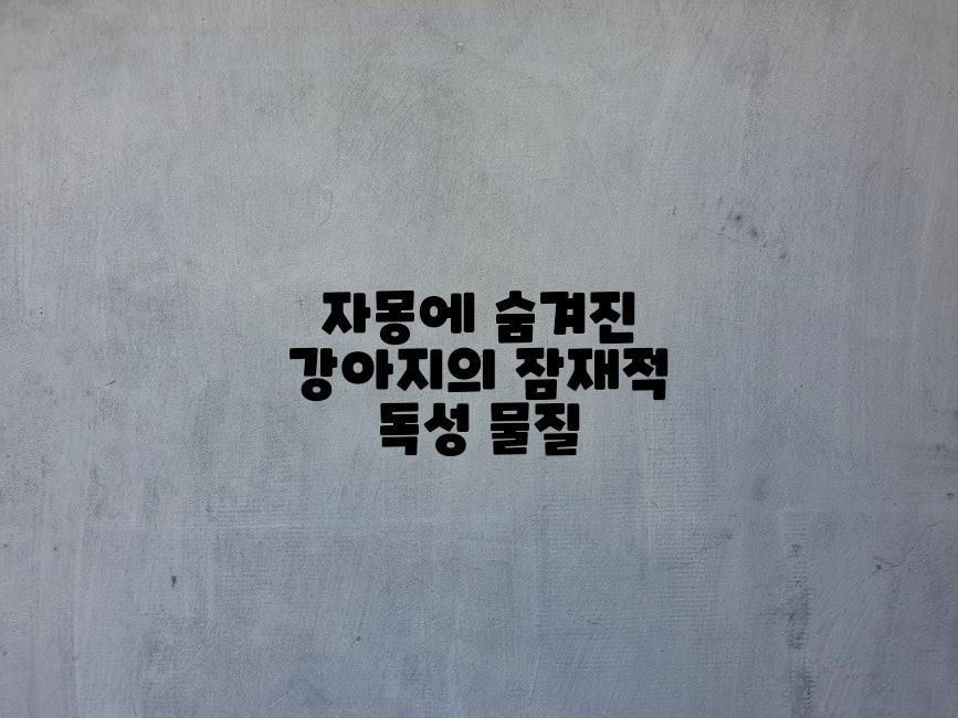 자몽에 숨겨진 강아지의 잠재적 독성 물질