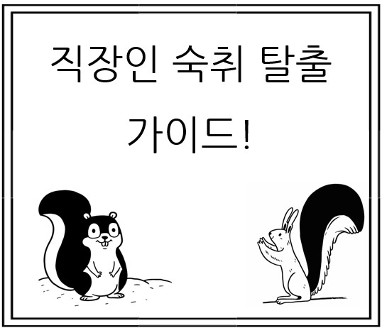 직장인 숙취 탈출 가이드