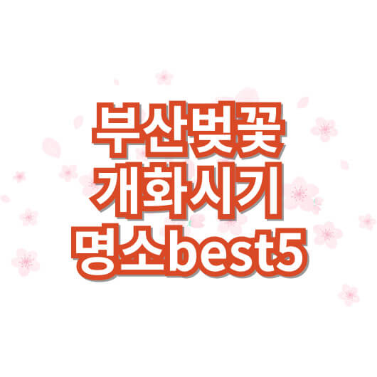 부산-벚꽃-개화시기