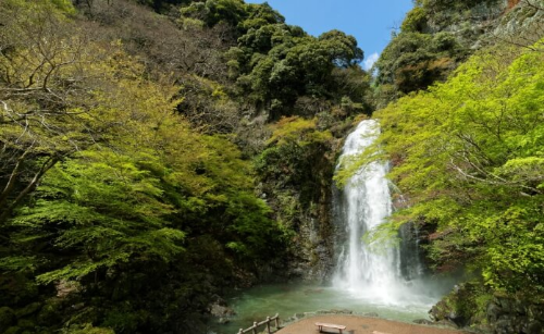 일본여행 미노오 폭포-폭포수가 떨어지는 풍경