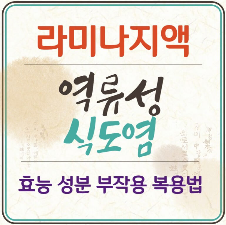 역류성식도염에-좋은-라미나지액의-효능-성분-부작용-복용법을-알려주는-썸네일입니다.