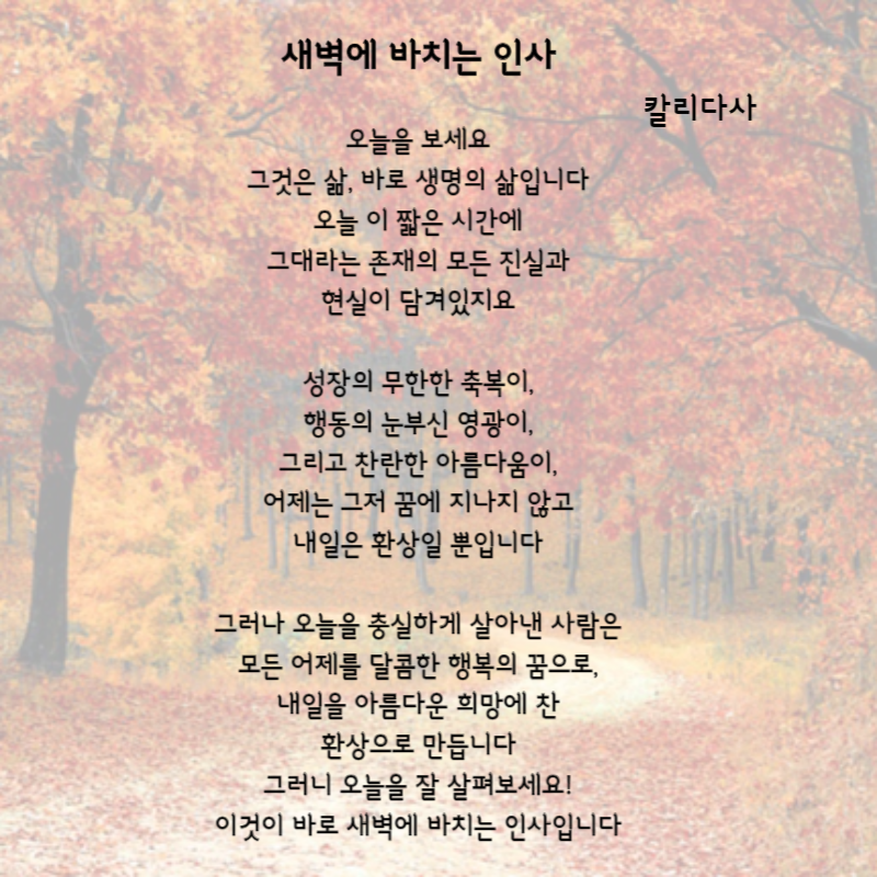 가을시 모음 추천