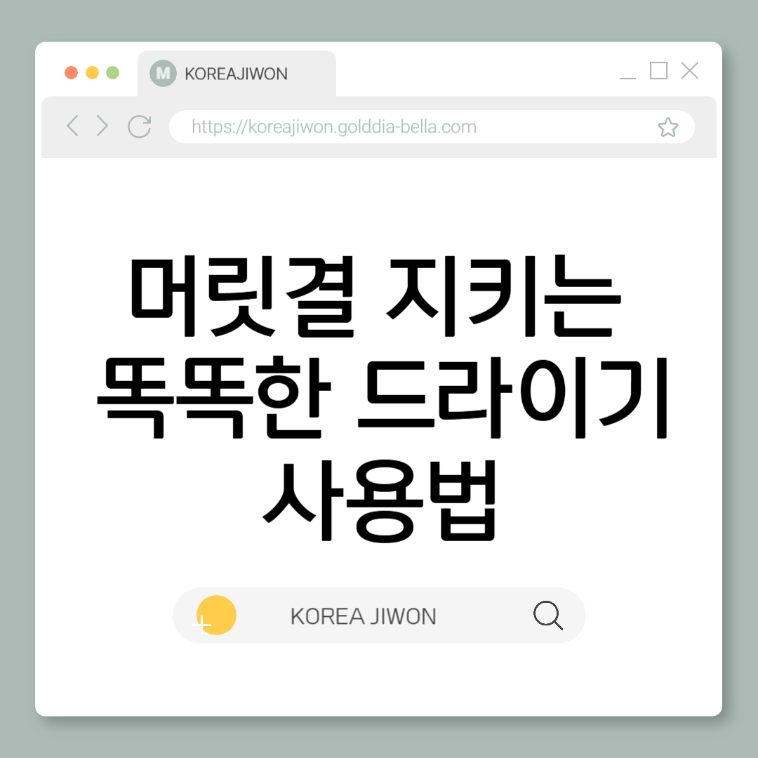 머릿결 지키는 똑똑한 드라이기의 모든 것