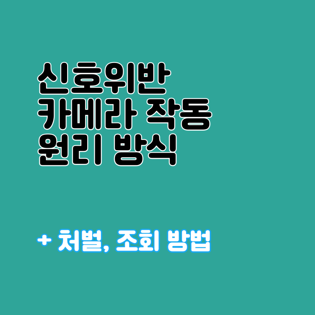신호위반 카메라 작동 원리