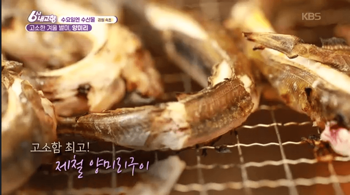 [6시내고향]강원도 속초 양미리 도루묵 오징어 &amp;#39;금성호&amp;#39; 택배 연락처 정보