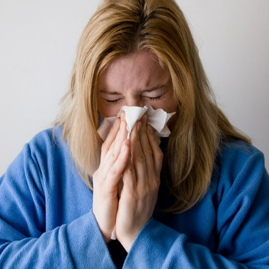 송화가루 날리는 시기