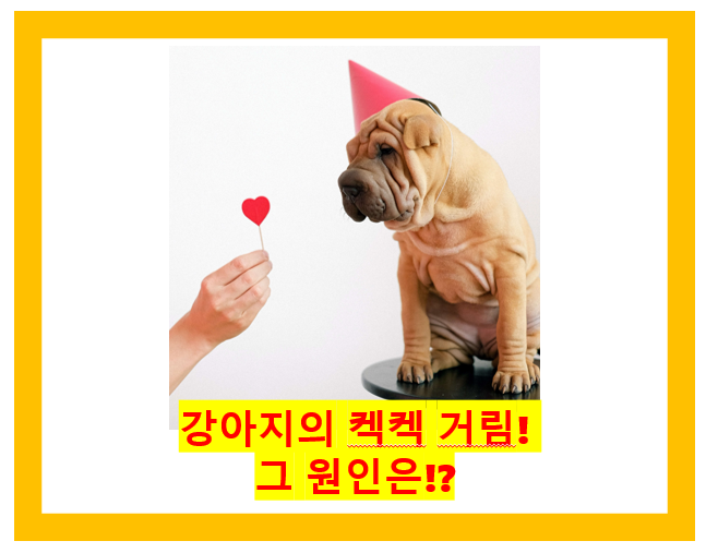 강아지 기침