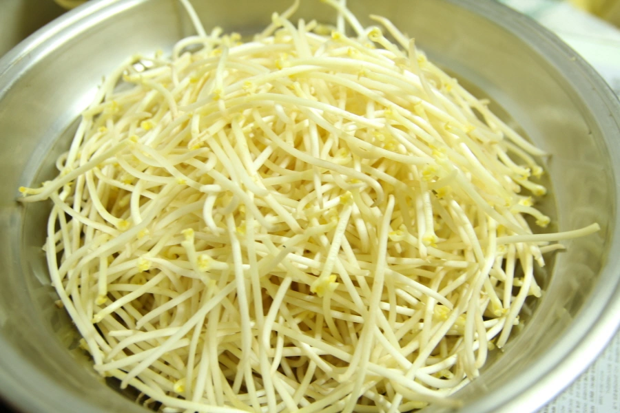 손질한 콩나물
