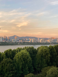 서울 가볼만한 곳 반포 한강공원