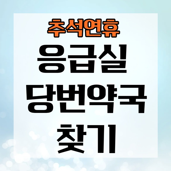 강남·서초·동작·관악 추석 응급실 안내|연휴 당번약국 찾기