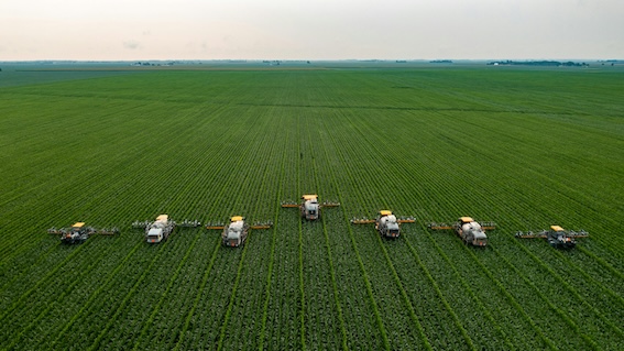 손주돌봄수당 신청방법