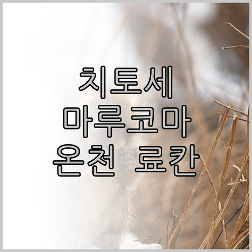 치토세 마루코마 온센 료칸 숙박 후기