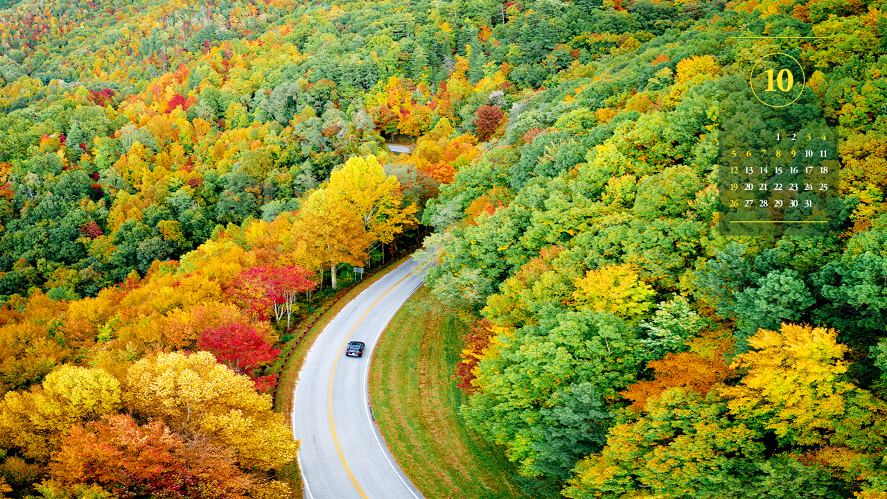 01 단풍 도로 A - 2025년10월 노트북배경화면