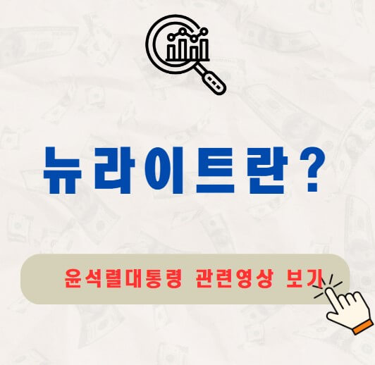 뉴라이트란 윤석렬 대통령 발언