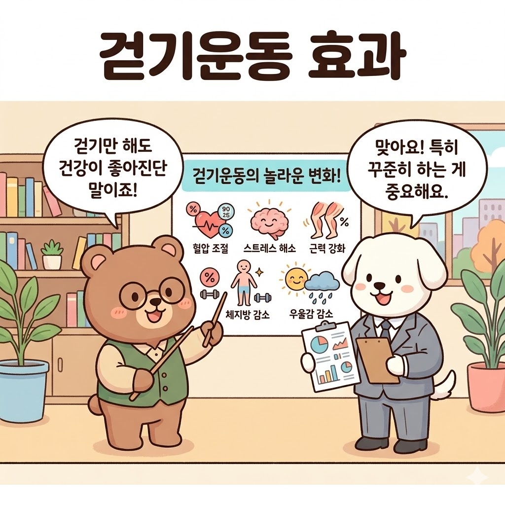 걷기운동 효과 몸과 마음이 달라지는 현실적인 변화 기준