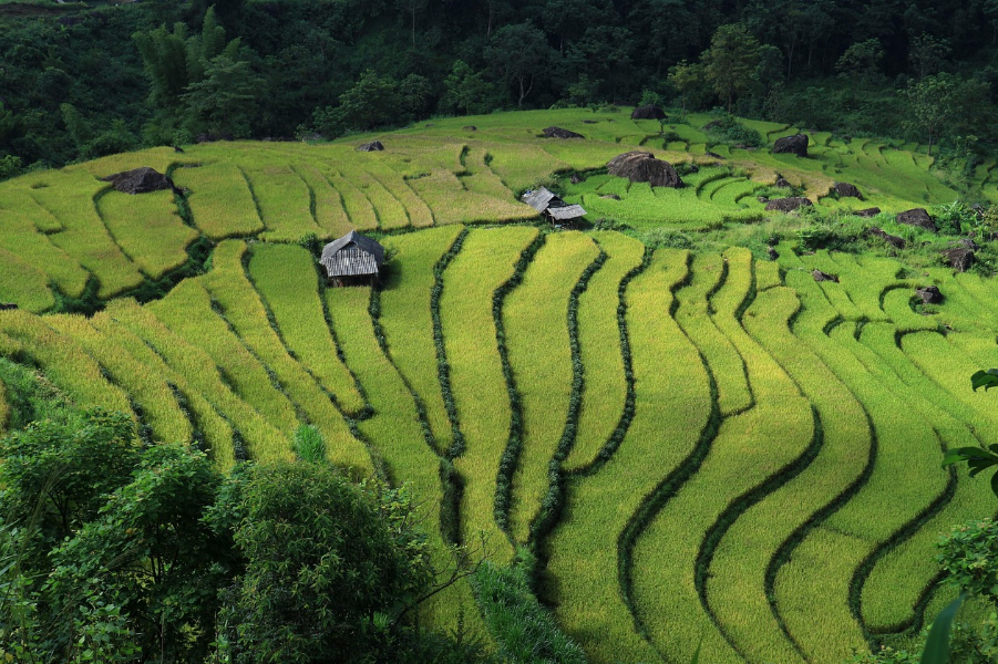 더 빨리 가지 않아도 괜찮아진 삶의 풍경