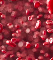 혈관 건강 지키는 7계명 영양제 습관