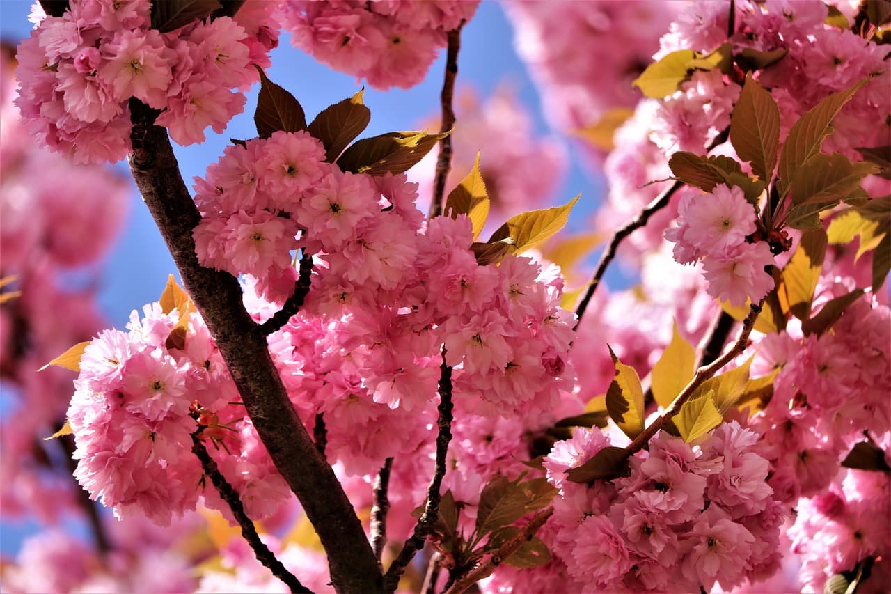 소상공인 고효율기기