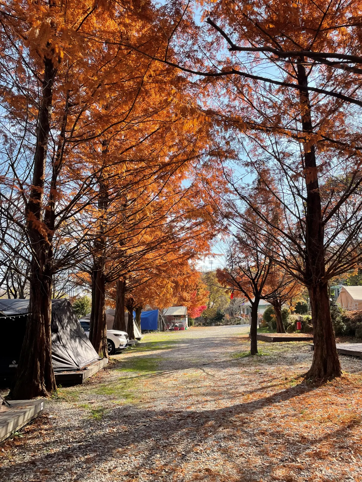 경기도-양주-새로-오픈한-봄이오는캠프-사이트별-사진-및-특징-정리(가족캠핑-2박후기)