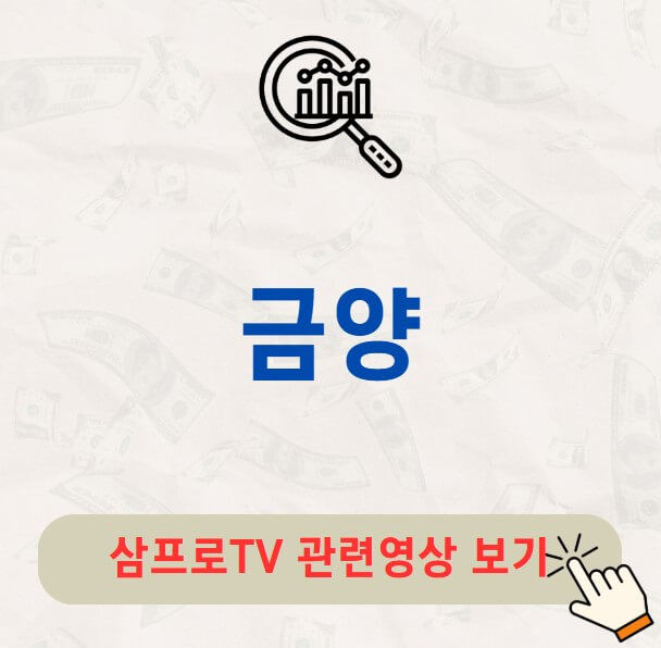 금양 배당금 지급일 배당락일