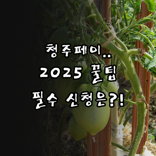 청주사랑페이 2025 발급 대상 신청..