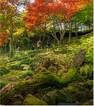 화담숲 프로그램 예약