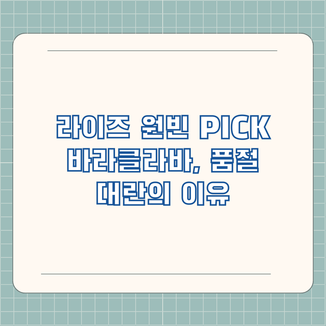 라이즈 원빈 PICK 바라클라바, 품절 대란의 이유 라이즈 원빈 PICK 바라클라바, 품절 대란의 이유