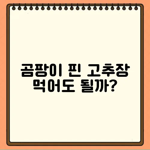곰팡이 핀 고추장 먹어도 될까?