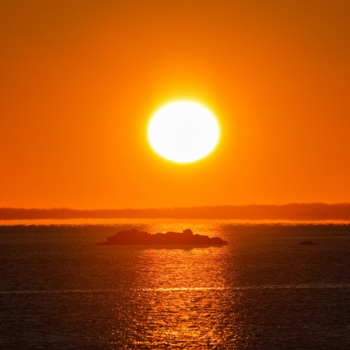 아들_남자아이_태몽_종류_해석