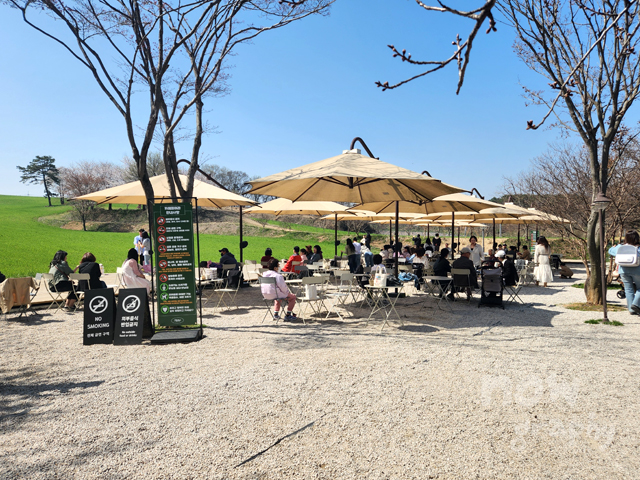 충남-당진-피어라-카페