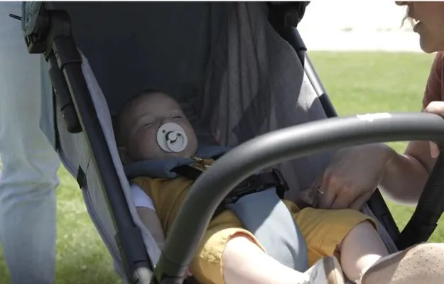 잉글레시나 쿼드2