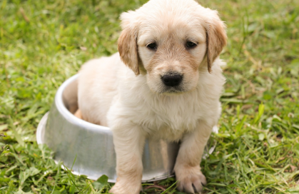 연령대별 접종 주기 관련 사진
