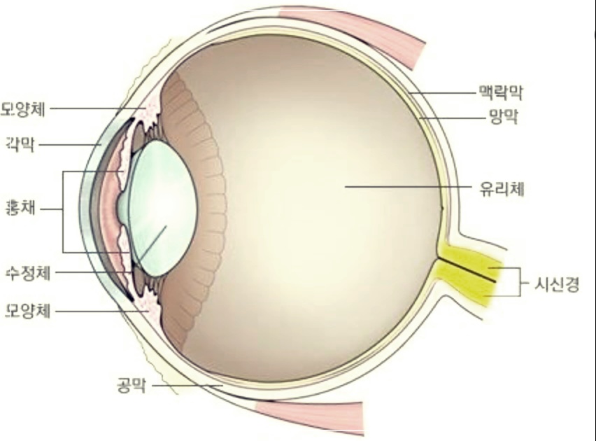 공막염 치료에 대한 이해