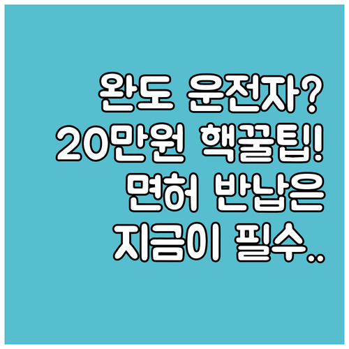 2025 완도군 고령운전자 운전면허 ..