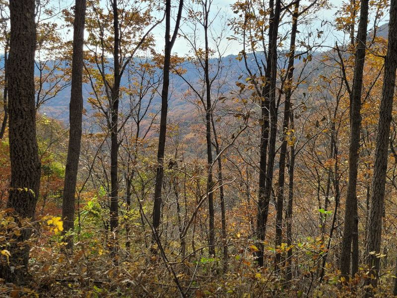 국립회문산자연휴양림