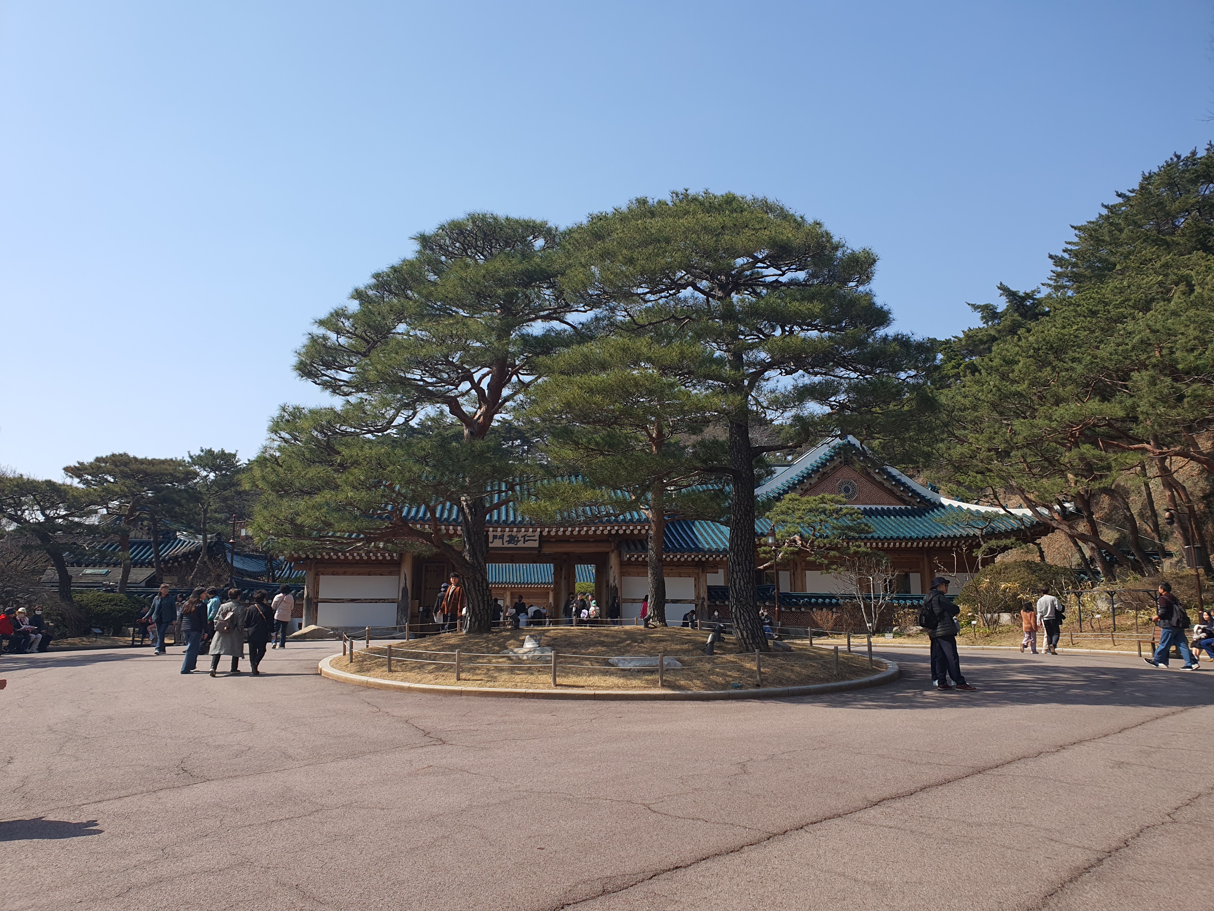 청와대