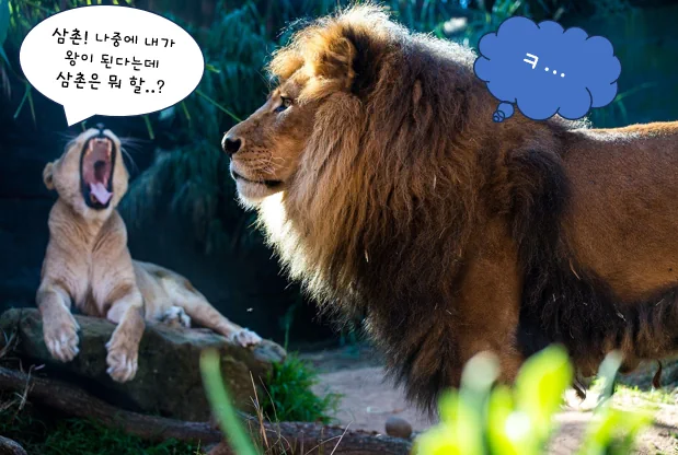 비틱 예시 비틱질 뜻