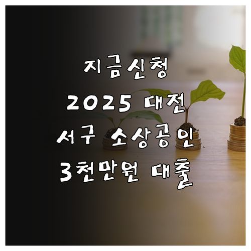지금 신청 2025 대전 서구 소상공..